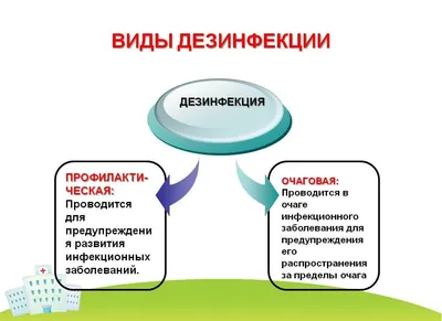 Дезинфекция, дезинсекция, дератизация: введен новый вид надзора :: Profiz.ru