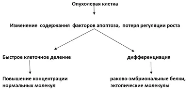 Лабораторная диагностика – Медицинский колледж Управления делами Президента  Российской Федерации