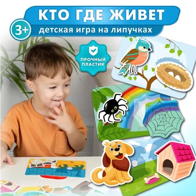 Логопедическая игра «Где живёт звук С»? – igro-mama.ru