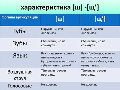 Дифференциация звуков С и Ш в слогах | Логопедический кружок | Дзен