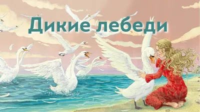 Дикие лебеди». Лето с Верой и Фомой | В школу с Верой и Фомой / Вера и Фома  | Дзен