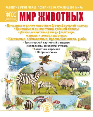 Иллюстрация 10 из 11 для Плакат \"Дикие животные России\" (50х70 см) |  Лабиринт - книги. Источник: Диковинка