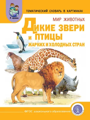 Скачать обои Животные Татьяна Данчурова, дикие животные, медведь на рабочий  стол 1280x1024