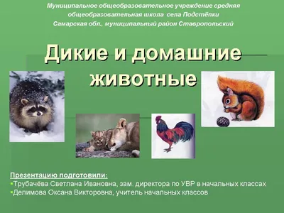 Английский язык. Дикие животные. Wild Animals. 0-02-284 Мир открыток купить  оптом в Екатеринбурге от 28 руб. Люмна