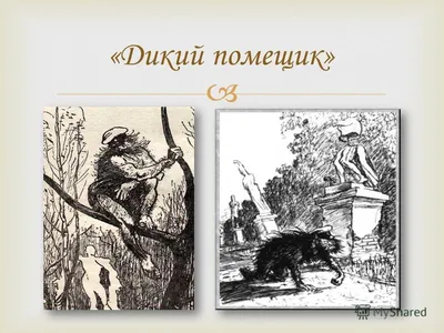 Анализ сказки М. Е. Салтыкова - Щедрина \"Дикий помещик\" - презентация онлайн