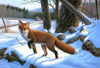 Жизнь диких животных зимой Путешествие в зимний лес. - презентация, доклад,  проект