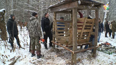 Минприроды дало старт зимнему учёту диких животных в Ульяновской области -  Ульяновск