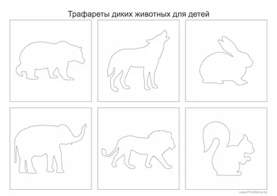 Экшн-фигурки в виде лесных диких животных, совы, белки, лягушки, волка,  фигурки, миниатюрные топперы для торта, обучающая игрушка, подарки для  детей | AliExpress