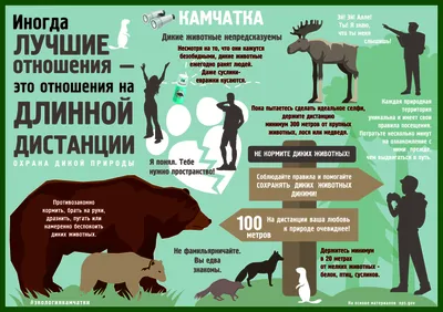 В центре реабилитации диких животных в Москве живут 17 енотов - РИА  Новости, 04.07.2022