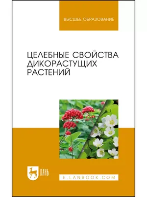 Дикорастущие растения: виды, особенности и советы по уходу | Поход лайфхак  | Дзен