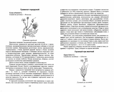 Целебные свойства дикорастущих растений. Учебное пособие — купить книги на  русском языке в BooksMe в Испании