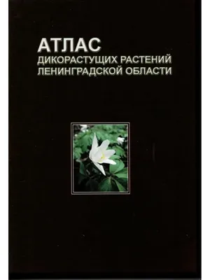 Налог за сбор дикорастущих растений введут в Казахстане