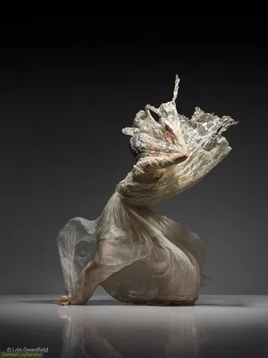 Динамичные фотографии танцоров | Lois greenfield, Dance photography, Dance  art