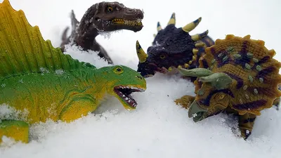 Набор динозавров, 6 штук, пластиковые, \"Милые динозаврики\", DINGUA – купить  оптом в интернет-магазине optom-k.com
