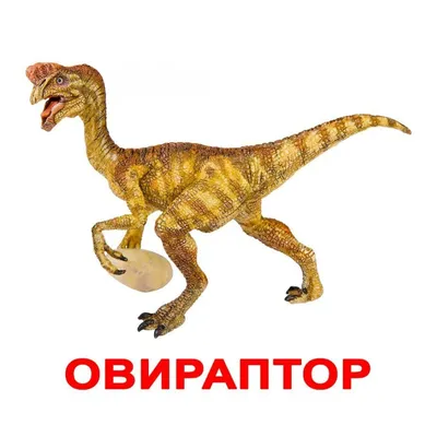 Карточки Домана Динозавры 20 карточек на русском языке (2100064096563) –  купить в интернет-магазине Ditya.com.ua цены, отзывы, фото, характеристики