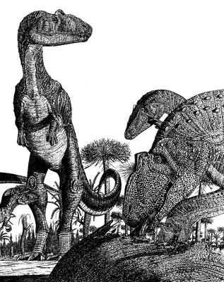 Пазл Larsen 57 деталей Динозавры с названиями на русском 36,5*28,5 см / с  контуром на картонной подложке, Ларсен NB3 - купить с доставкой по выгодным  ценам в интернет-магазине OZON (782376296)