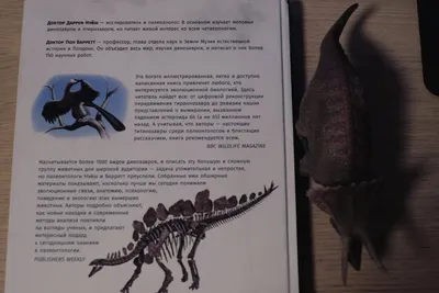 Время динозавров. Новая история древних ящеров — купить книги на русском  языке в DomKnigi в Европе