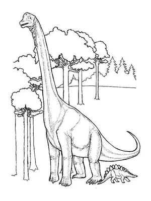 Динозавры раскраски