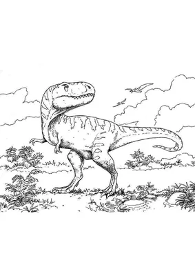 Динозавр раскраска - 58 фото