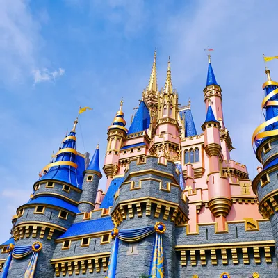 Disney World Castle Comes to Roku City Screensaver in Ad Deal – The  Hollywood Reporter