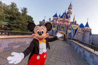 The Ultimate Guide to Anaheim's Disneyland Resort - Roadtrippers