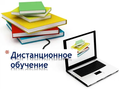 В Новосибирске утвердили дистанционное обучение для половины школьников |  ИА Красная Весна