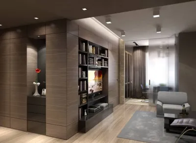 Дизайн однокомнатной квартиры, проекты дизайн-интерьера квартиры - Студия  FamilyPro Дизайн интерьера
