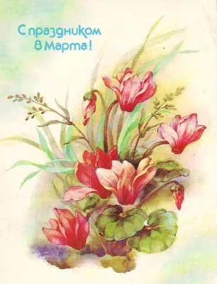 Короткие поздравления с 8 Марта - красивые открытки с пожеланиями - Главред