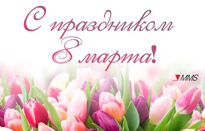 С Международным женским днем 8 Марта жительниц Городского округа Подольск  поздравили Н.И. Пестов и Д.Н. Машков | Администрация Городского округа  Подольск