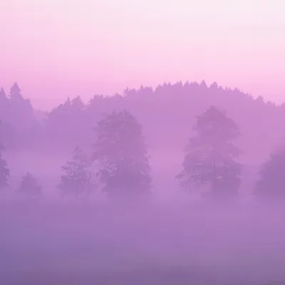 PAPERS.co | Android wallpaper | ma37-misty-pink-forest-mountain-nature