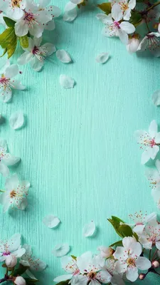 Pin by Mirta Vončina on Phone wallpaper | Spring wallpaper, Flower phone  wallpaper, Iphone wallpaper