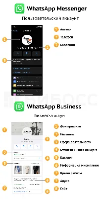 Бизнес-аккаунт WhatsApp: полная инструкция по использованию