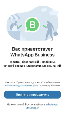 Верификация бизнес-аккаунта WhatsApp: зачем нужна зелёная галочка и как её  получить?