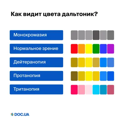 Браузер Google научился показывать мир глазами слабовидящих и дальтоников —  Ferra.ru