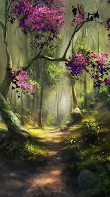 Скачать Бесплатно Обои Для Рабочего Стола Мобильного Телефона Forest-5058 -  MobileSMSPK.net | Landscape art, Nature art painting, Nature art