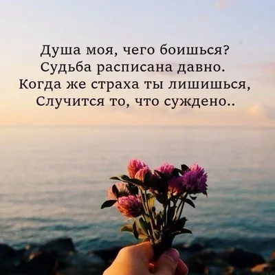 Pin by _ta_samaya _suka❤ on для души. со смыслом | Math, Math equations