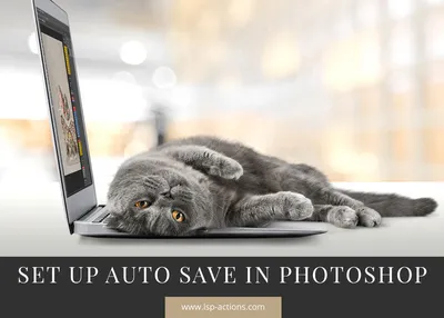 Setup Auto Save in Photoshop (#mycatfailmoment) – LSP Actions by Lemon Sky