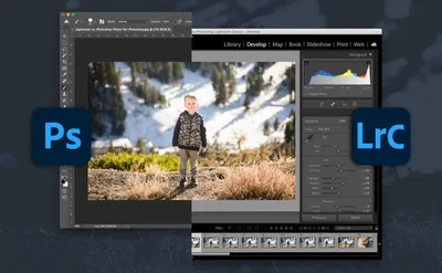 Adobe Has Added New A.I. Capabilities to Photoshop, Allowing Users to Edit  Images Using Text Prompts