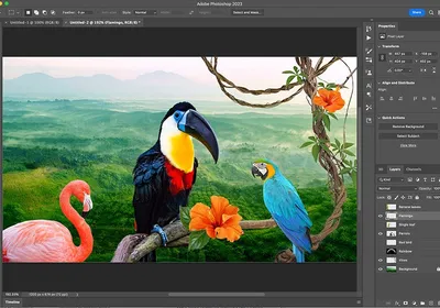 Lightroom vs Photoshop: Which Is Best for You? - 42 West, the Adorama  Learning Center