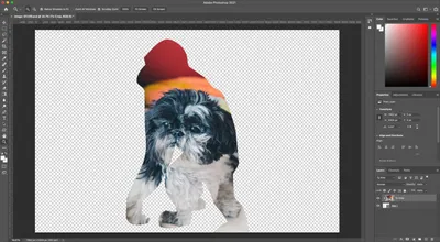 Adobe Photoshop review | Space