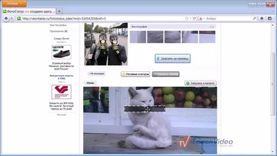 Как добавить фотостатус Вконтакте. Фотостатус через приложение и без него -  YouTube
