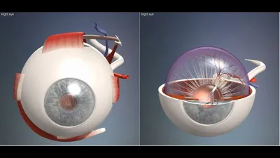 Крем для области вокруг глаз Fraijour КОЛЛАГЕН/РЕТИНОЛ Retin-Collagen 3D  Core Eye Cream 15 мл купить. Отзывы, способ применения