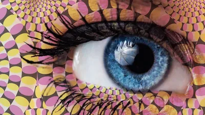 Пять популярных оптических иллюзий и почему они возникают | РБК Тренды