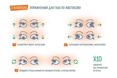 Строение глаза человека | Люксоптика