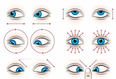 Гимнастика для глаз: 10 лучших упражнений | РБК Стиль