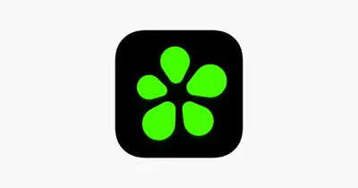 ICQ Old Logo PNG vector in SVG, PDF, AI, CDR format