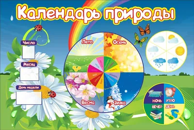 Календарь природы в детском саду (арт.ДСКП-06) купить в Омске с доставкой:  выгодные цены в интернет-магазине АзбукаДекор