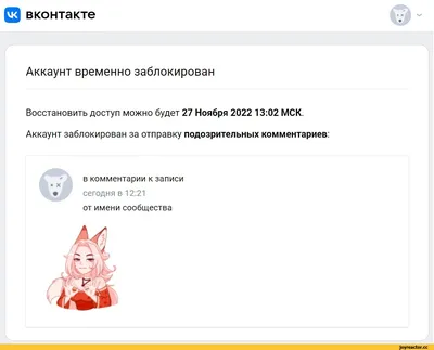 Накрутка лайков на комментарии Вконтакте - продвижение в vk по низким ценам  от PrSkill - PRSkill