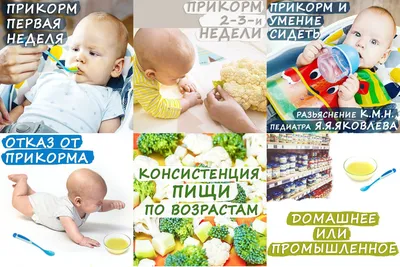 Меню ребенка в 6 месяцев (рекомендации Союза педиатров РФ) | Мама зануда