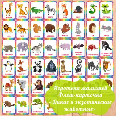 Кавайняшка: Картинки малышей Луни Тьюнс - YouLoveIt.ru